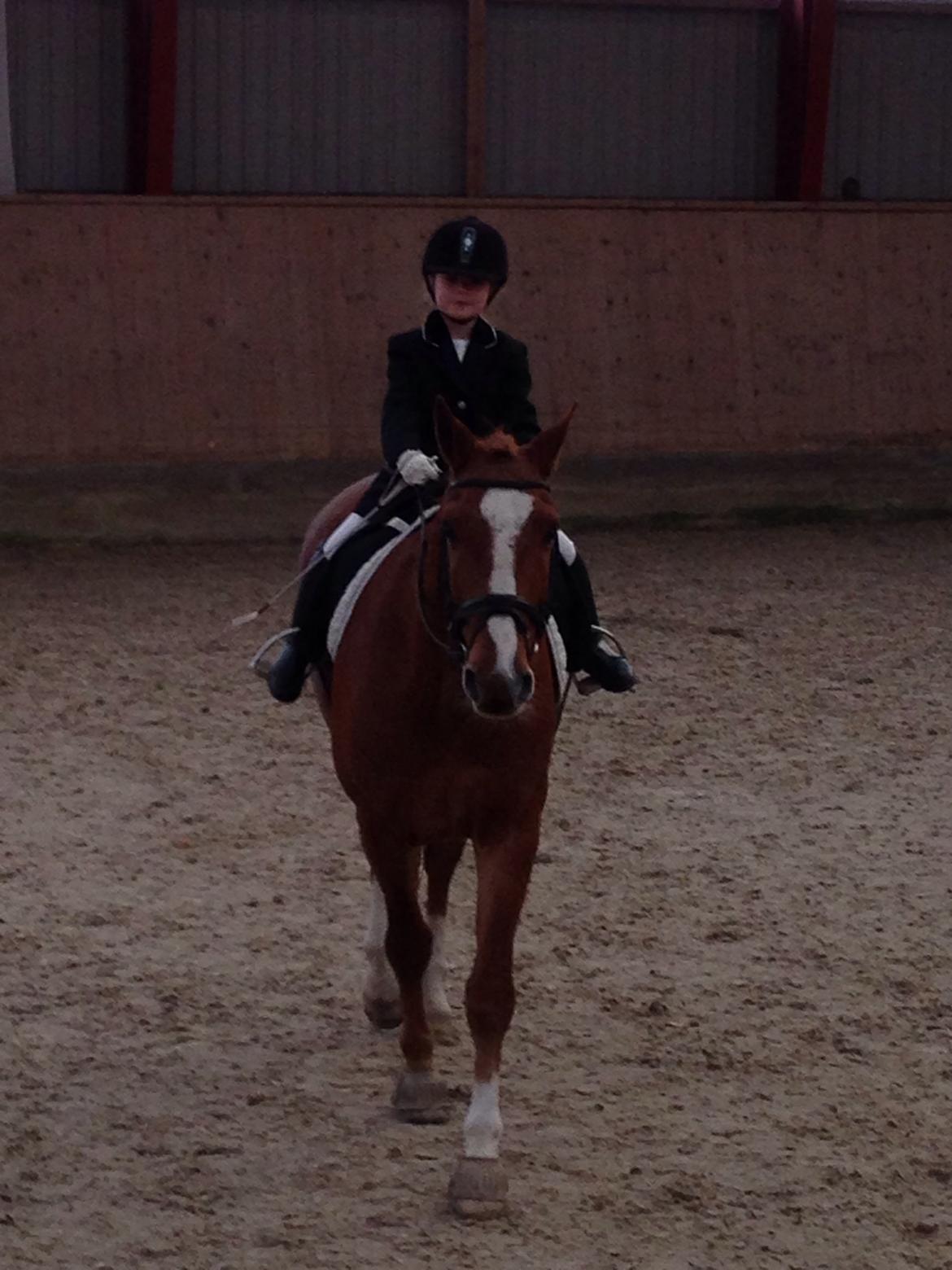 Frederiksborg Baron Skingelsbjerg billede 9