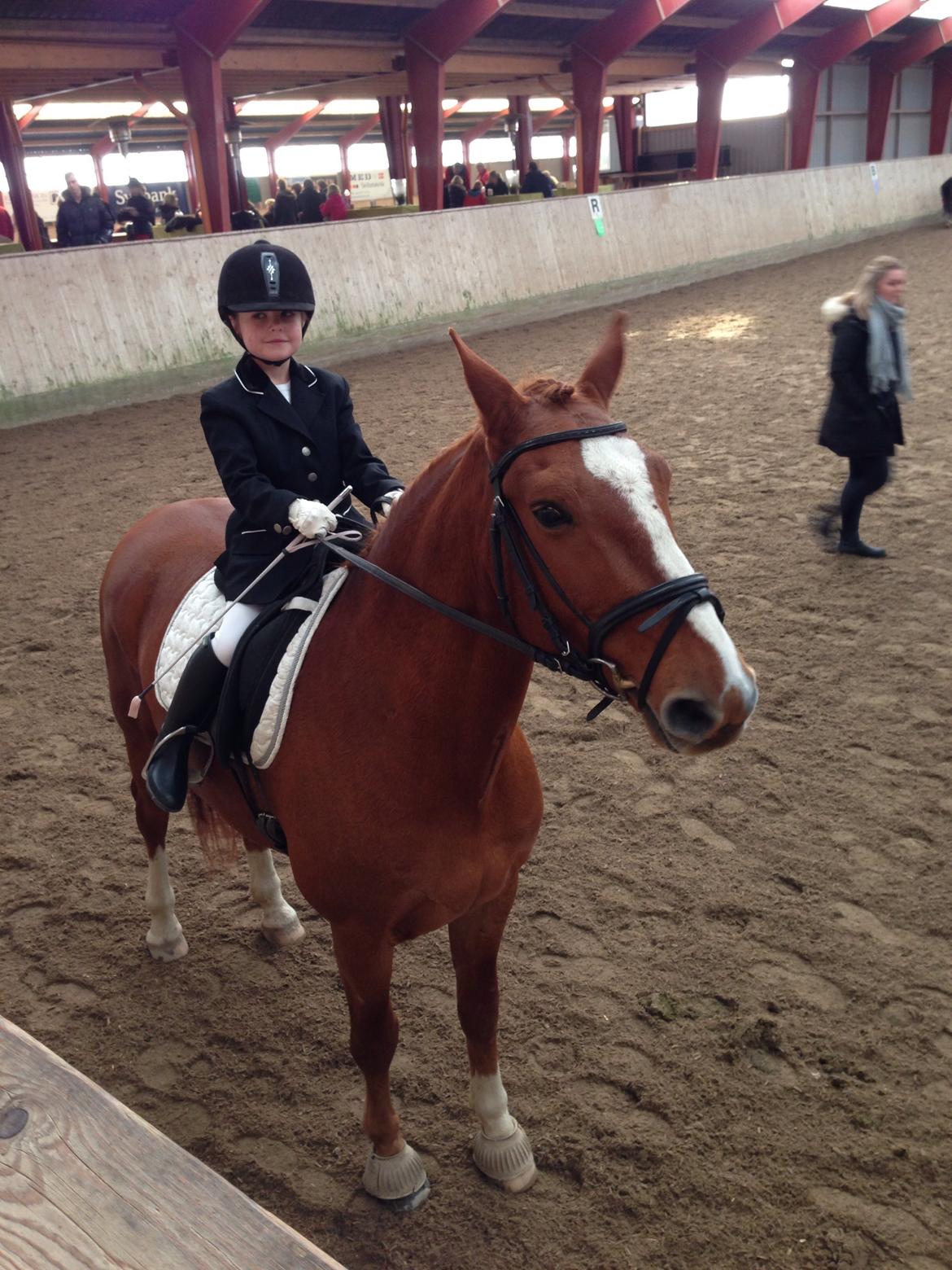 Frederiksborg Baron Skingelsbjerg billede 11