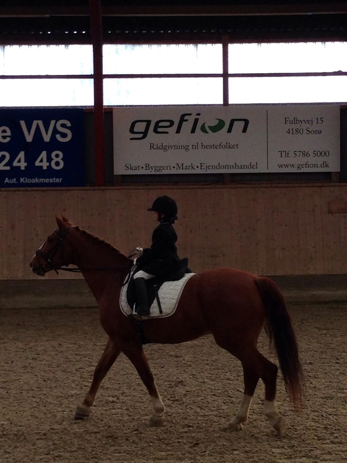 Frederiksborg Baron Skingelsbjerg billede 12