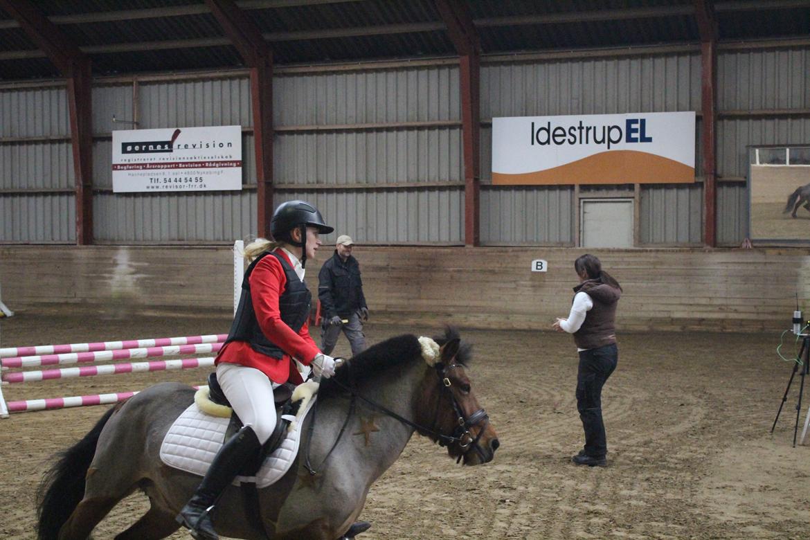 Anden særlig race Freja billede 10