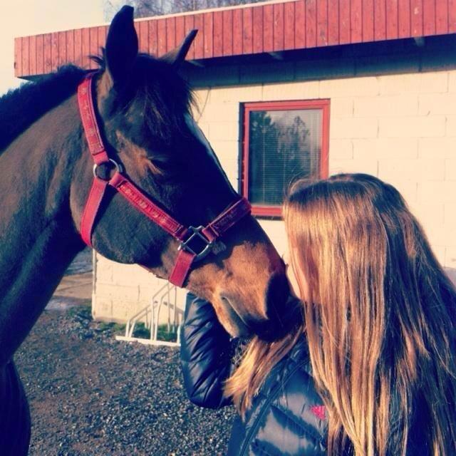 Anden særlig race Filur (Futte) - For andre er du bare en hest, men dor mig er du hele min verden! <3 billede 6