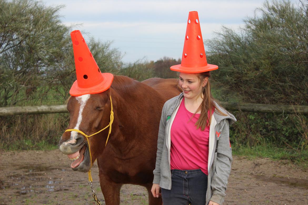 Anden særlig race Lille Nora - Kegle unicorn! <3 d. 9-11-2014 billede 15