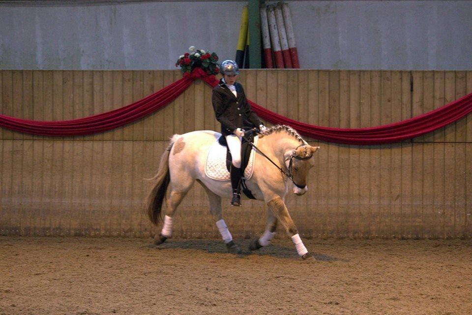 Fjordhest Sif (pony) ¤my soulmate¤ billede 20