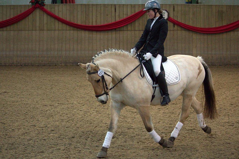 Fjordhest Sif (pony) ¤my soulmate¤ - velkommen til Sif`s profil <3 <3 <3 <3  billede 38