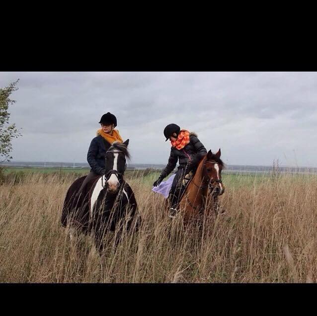 Anden særlig race Gubben- tidl hest - MOrrina & Gubben<3- oktober 2014 billede 7