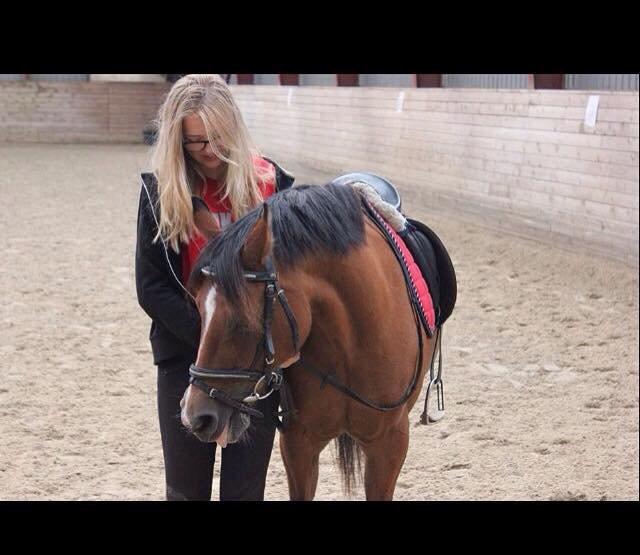 Anden særlig race Gubben- tidl hest - Mine to ynglings, Alberte & Gubben<3- september 2014 billede 16