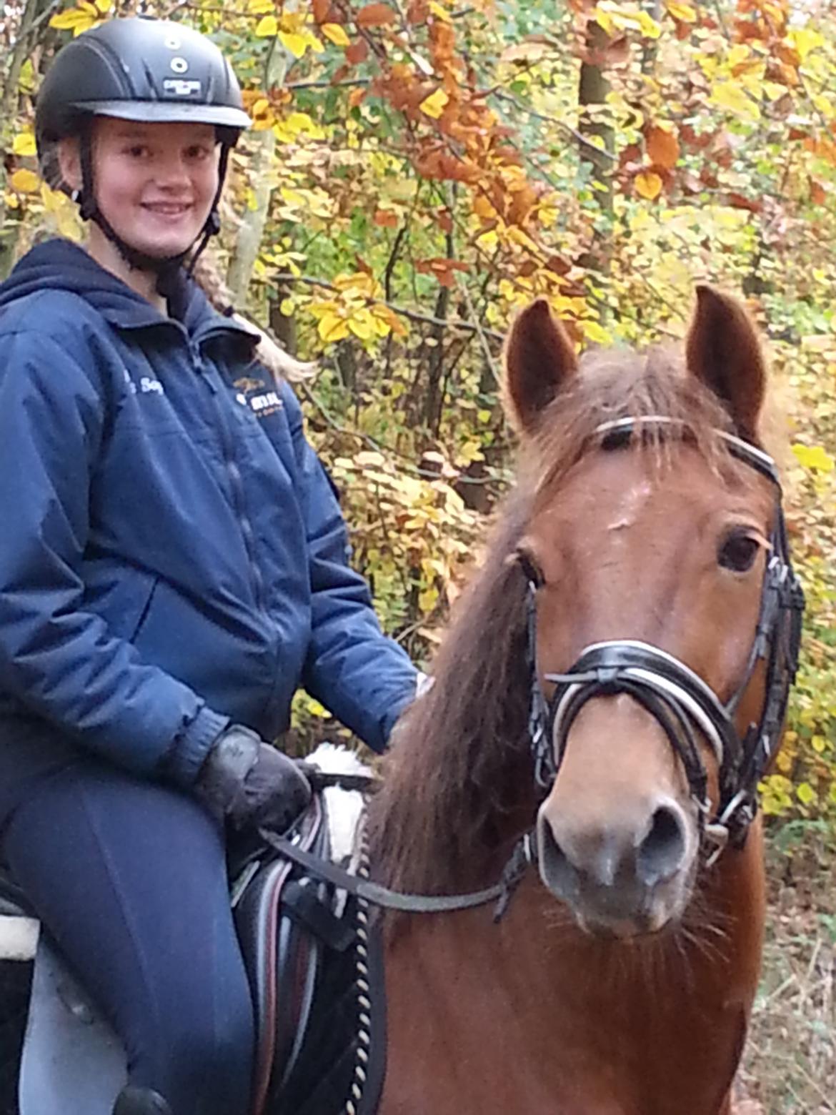 New Forest Flying Red Chili - Hyggetur i skoven <3 billede 9