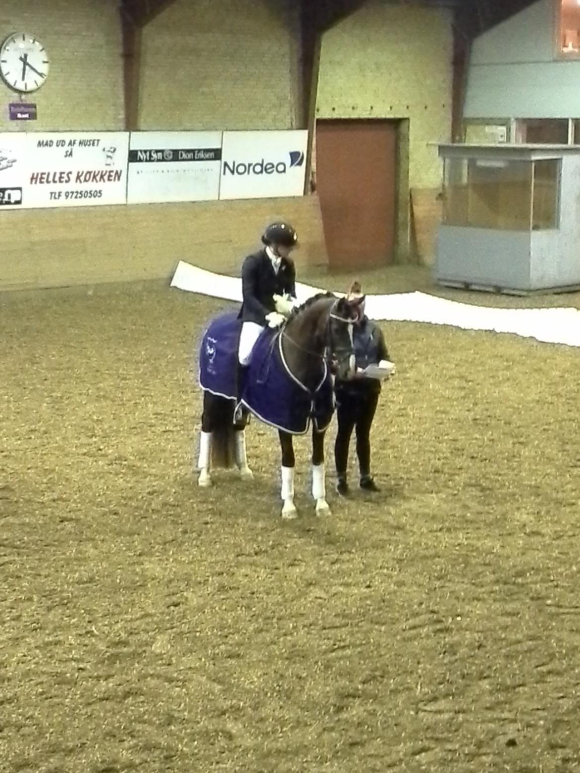 Welsh Partbred (Sec F) Struntze's MasterPiece BRSDH 630 - Vinder af 4 års championaterne 2014 - Hvor er jeg stolt af min egen ( første ) avlede pony  billede 6