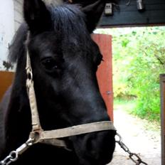 Anden særlig race Black Girl
