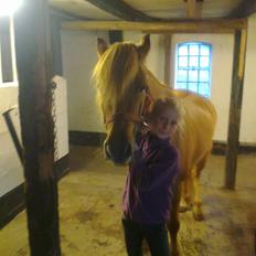 Anden særlig race Frederik