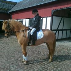 Anden særlig race Frederik