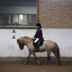 Anden særlig race Frederik