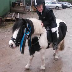 Anden særlig race Frida