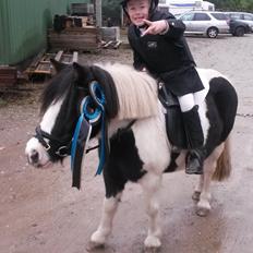 Anden særlig race Frida