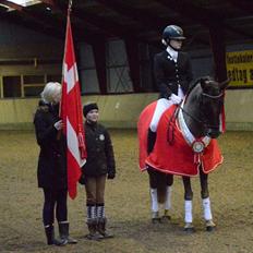 New Forest Elmholts Rekord