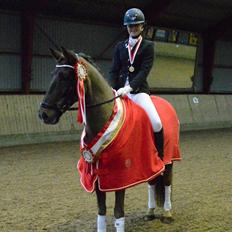 New Forest Elmholts Rekord