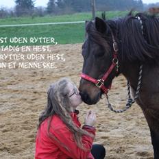 Anden særlig race Berta