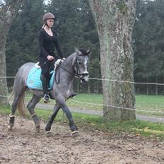 Anden særlig race Surprise