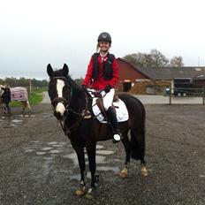 New Forest Sjølunds Tornado!