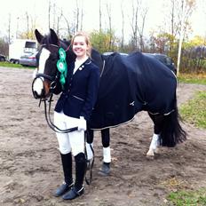 New Forest Sjølunds Tornado!