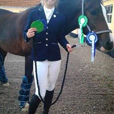 New Forest Sjølunds Tornado!