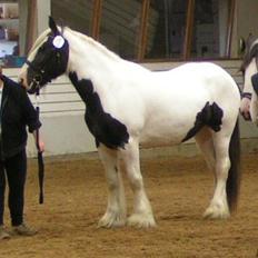 Tinker Alberthe TF 117