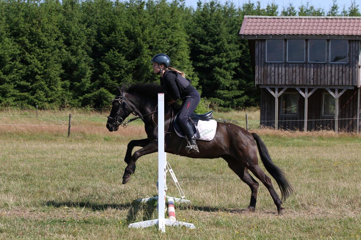 Anden særlig race Black Girl billede 11