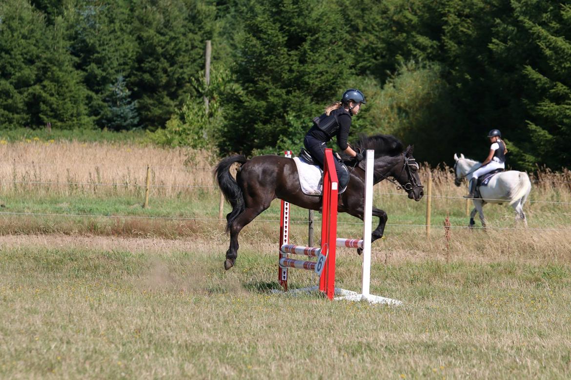 Anden særlig race Black Girl billede 6