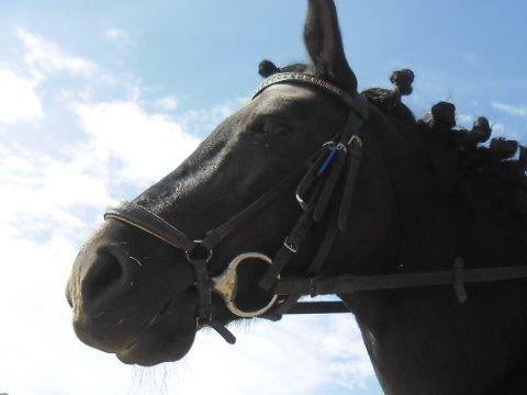 Anden særlig race Black Girl billede 9