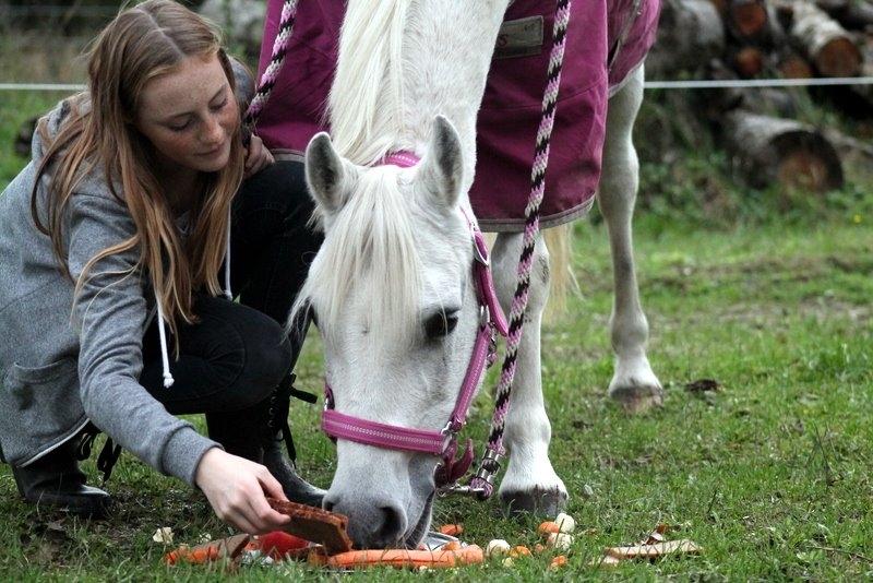 Anden særlig race Raija l Soulmate l <3 - 23 ♥ - 7 års dag med min bedste ven. Jeg kan ikke takke hende nok, for alt hun har gjort for mig. - Verdens bedste ♥ [ Foto: Annso ] ♥ 22. oktober 2014 billede 23