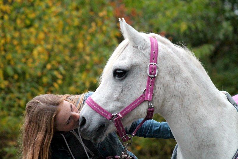 Anden særlig race Raija l Soulmate l <3 - 11 ♥ - "Today, I look into your eyes, my love for you only grows. It's even stronger now." [ Foto: Annso ] ♥ 22. oktober 2014 billede 11