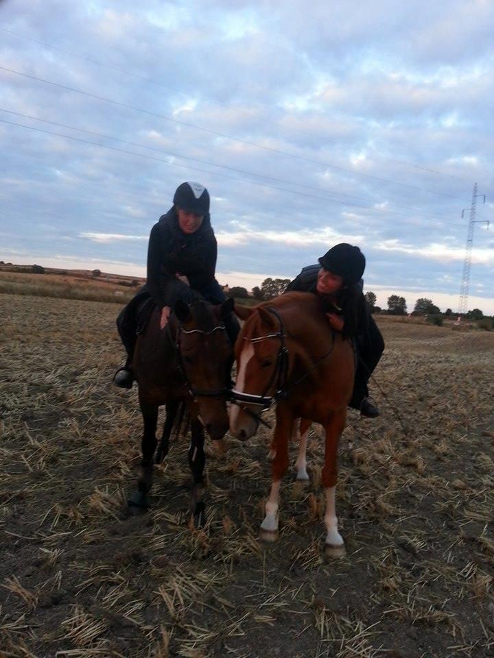 Anden særlig race Lotus billede 9