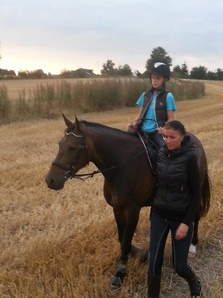 Anden særlig race Lotus billede 10