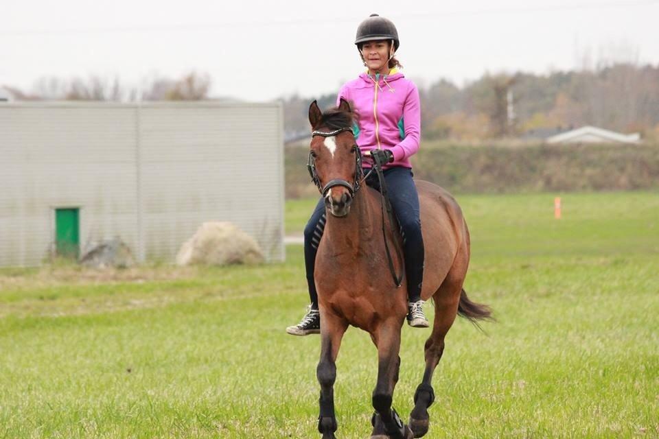 Pinto Symfoni Nyberg (Smølfen) billede 6