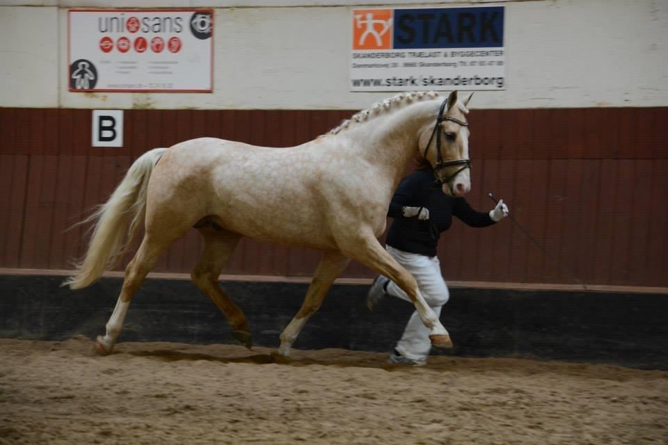 Frederiksborg Hector Krogvænget billede 8