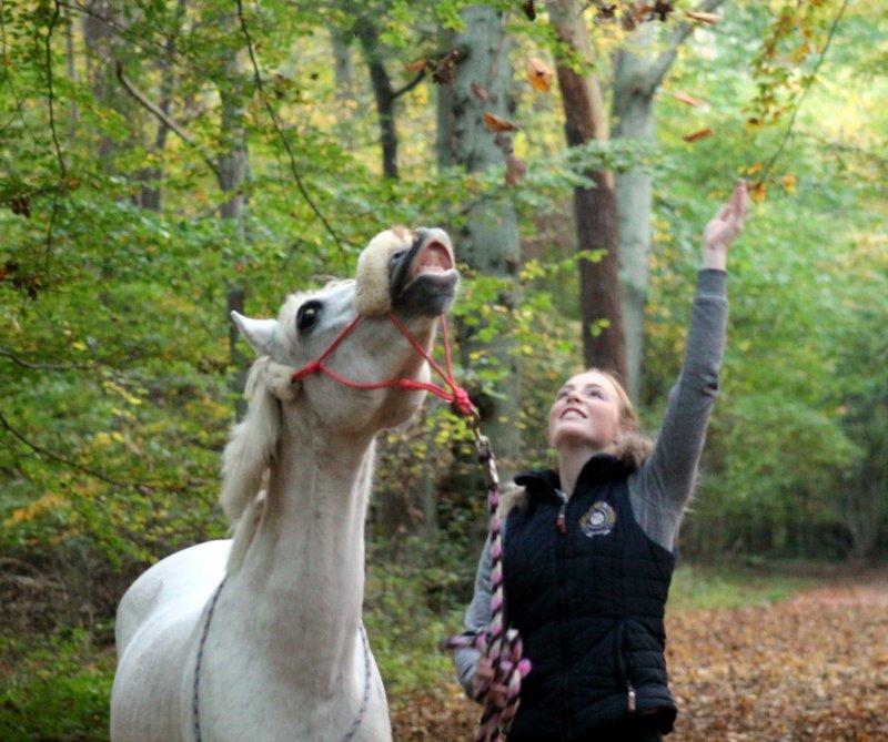 Anden særlig race Raija l Soulmate l <3 - 45 ♥ - Efteråååååårrrr! Og min skøre pony, der smiler efter bladene ♥ [ Foto: Sophie ] ♥ 29. oktober 2014 billede 45