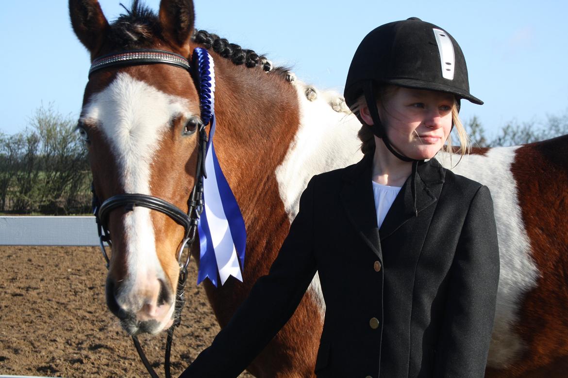 Anden særlig race Siku billede 11