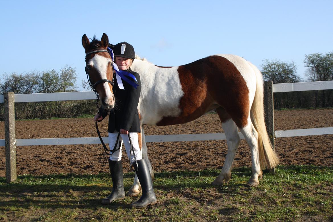 Anden særlig race Siku billede 14