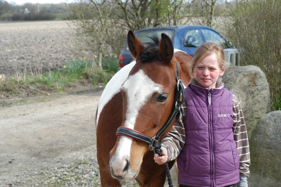 Anden særlig race Siku billede 16