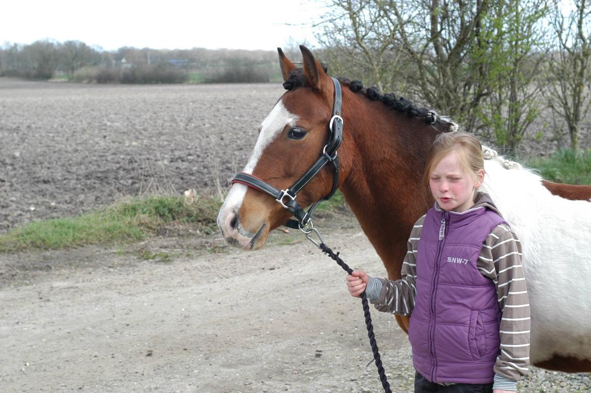 Anden særlig race Siku billede 17