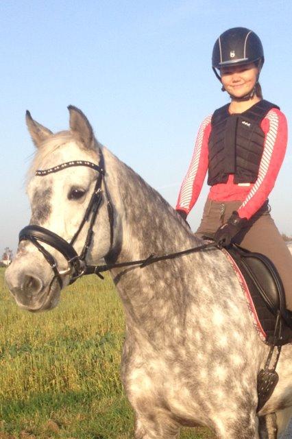 Dansk Varmblod Berenice - Velkommen til min profil. billede 3