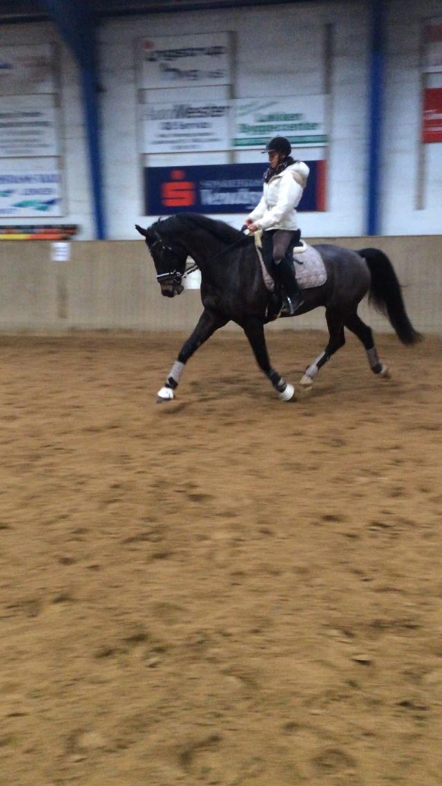 Oldenborg Don Frello billede 27