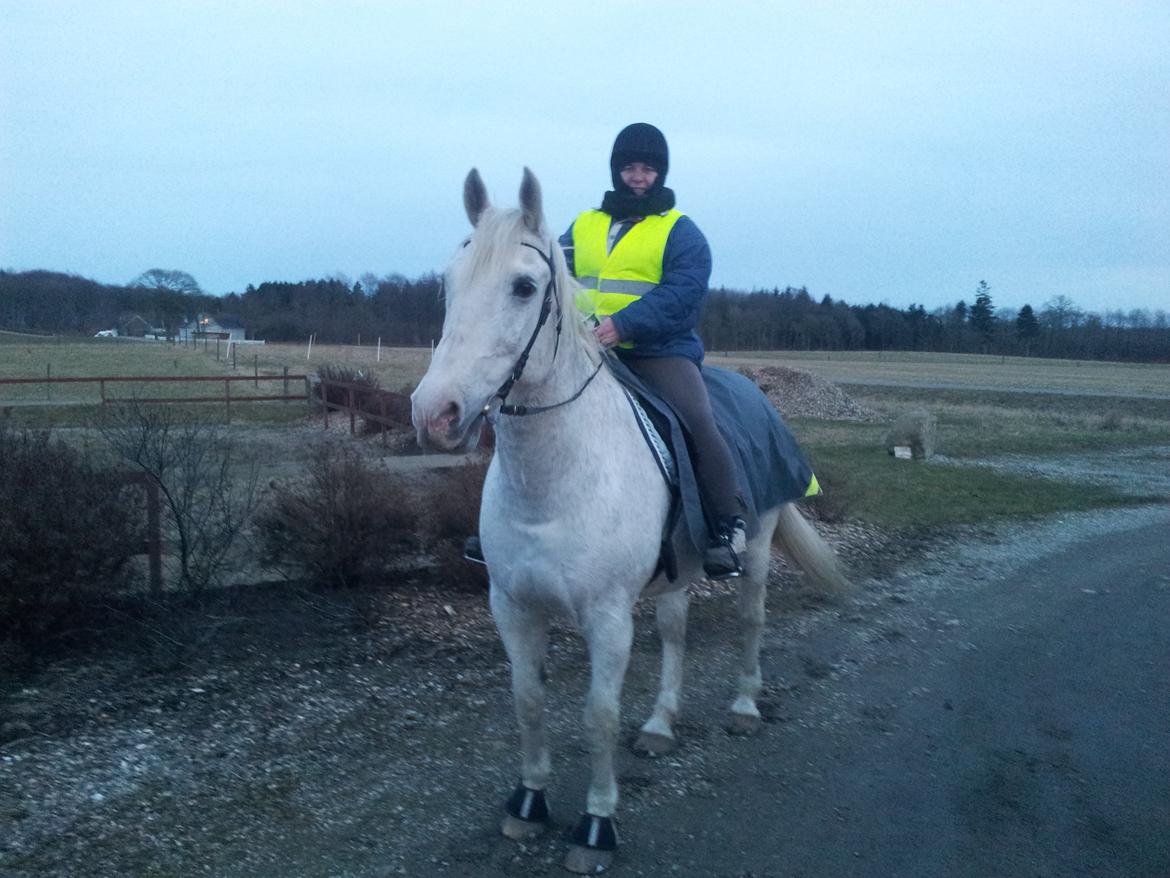 Anden særlig race Aslan - Marts 2013 billede 18