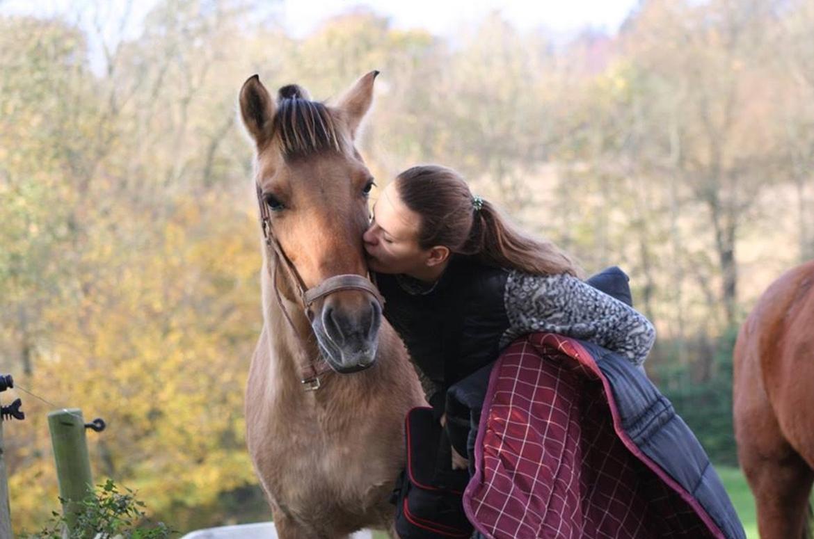 Anden særlig race Sally billede 4