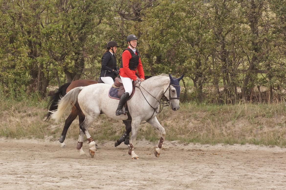 Holstener QUORP'S CADEAU billede 28