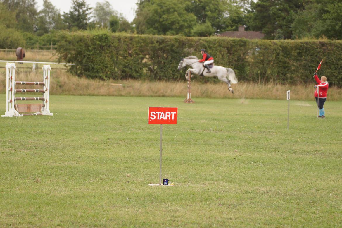 Holstener QUORP'S CADEAU - vores første LA billede 30