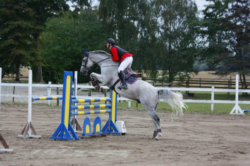 Holstener QUORP'S CADEAU - sjællandsmesteskaberne 2014 billede 31