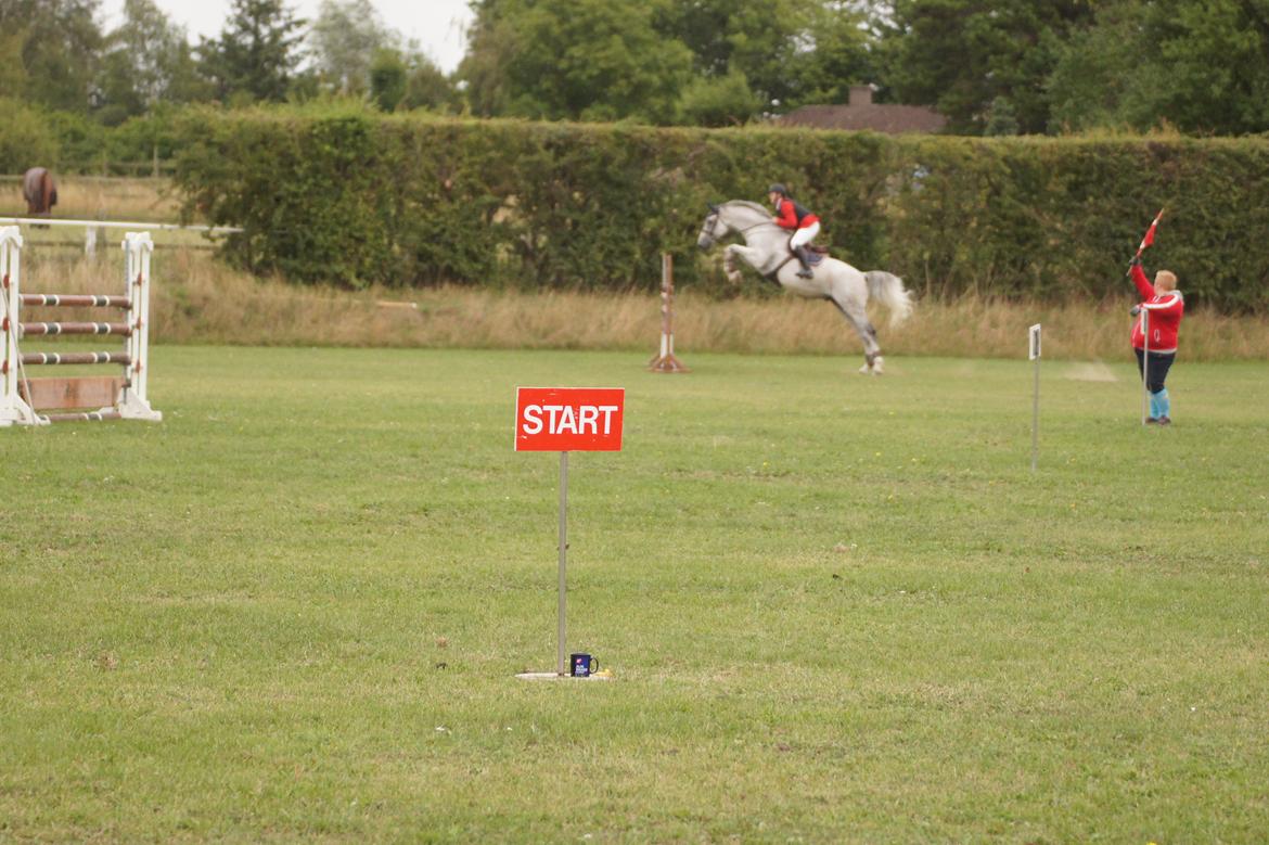 Holstener QUORP'S CADEAU - vores første LA billede 29