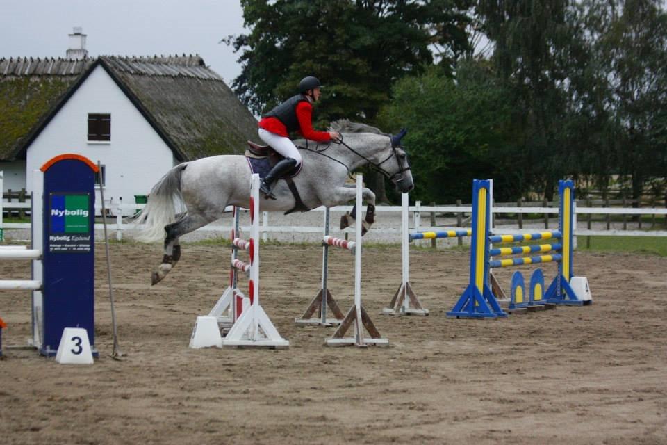 Holstener QUORP'S CADEAU - sjællandsmesteskaberne 2014' billede 33