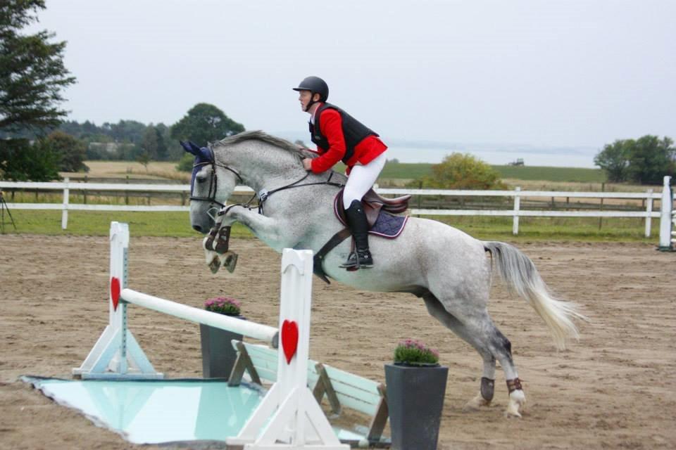 Holstener QUORP'S CADEAU - sjællandsmesteskaberne 2014 billede 34